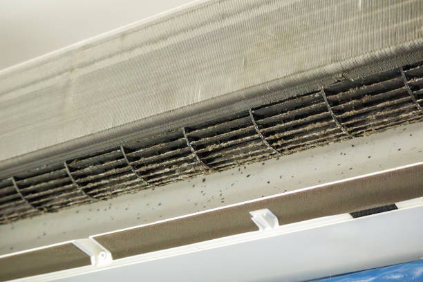 Best HVAC Air Duct Cleaning  in Dry Ridge, KY